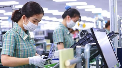 Nhiều doanh nghiệp mở rộng đầu tư kinh doanh tại Việt Nam