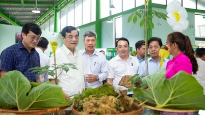 ចាប់ដៃគ្នាបង្កើតសមាគមផលិតកម្មយិនស៊ិនវៀតណាមក្នុងពេលឆាប់ៗនេះ