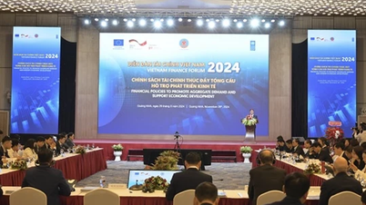 UNDP បន្តរួមដំណើរជាមួយវៀតណាមក្នុងការផ្លាស់ប្តូរបៃតង