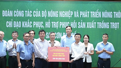 ក្រសួងកសិកម្ម និងអភិវឌ្ឍន៍ជនបទ ប្រមូលគ្រាប់ពូជ និងជីចំនួន ៣០០តោន សម្រាប់ខេត្ត Bac Giang។