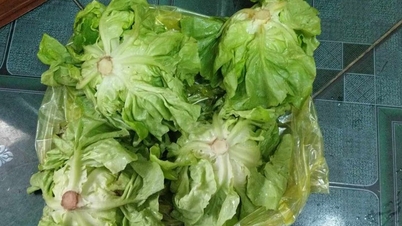បន្លែ​បៃតង​២០​ម៉ឺន​៣​អោន​ក៏​ពិបាក​រក​ទិញ​នៅ​ថ្ងៃ​ទី​៣​នៃ​បុណ្យ​តេត