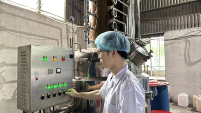 Dùng công nghệ hiện đại để nâng chất rượu truyền thống