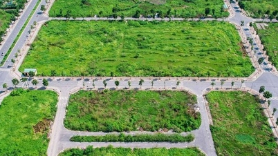 Toàn cảnh khu đất sắp được đấu giá với mức khởi điểm hơn 2.000 tỷ đồng