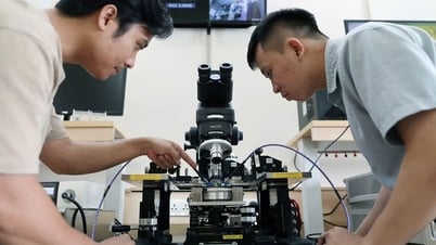 베트남 대학에 유학 오는 외국 석사 및 박사급 인력 급증