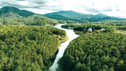 សម្រាប់ជីវិតបៃតង