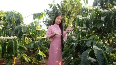 ខ្ញុំចូលចិត្តកាហ្វេខ្មៅជូរចត់!