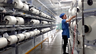 Sợi Thế Kỷ (STK) lợi nhuận lao dốc, vay nợ ‘đổ vào’ nhà máy UNITEX