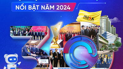 MISA – 30 outstanding events & achievements in 2024