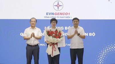ក្រុមហ៊ុន Power Generation Corporation 1 តែងតាំងអគ្គនាយករង
