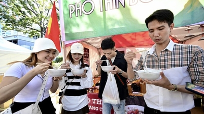 Many famous Vietnamese pho brands will appear in Korea