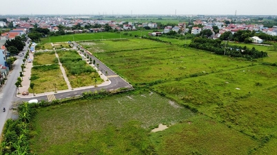 Thanh Oai district re-auctioned 57 plots of land, starting price increased to 8.8 million VND/m2