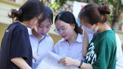Đề minh họa thi tốt nghiệp 2025 'ngăn học vẹt, cầu may'