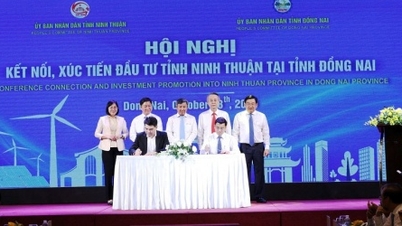 Ninh Thuan ឧទ្ទេសនាមអំពីគុណសម្បត្តិ អំពាវនាវឲ្យអង្គភាពអាជីវកម្មខេត្ត Dong Nai វិនិយោគលើគម្រោងនានា