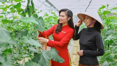Cam kết và thực trạng triển khai ESG tại Agribank