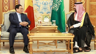 Prime Minister's visit to 3 Middle Eastern countries elevates relations, opens new markets