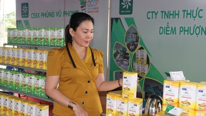 OCOP ជំរុញការអភិវឌ្ឍន៍សេដ្ឋកិច្ចជនបទនៅ Hau Giang
