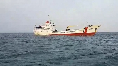 Rescue organization of 14 fishermen from a sunken fishing boat at sea in Phu Quy