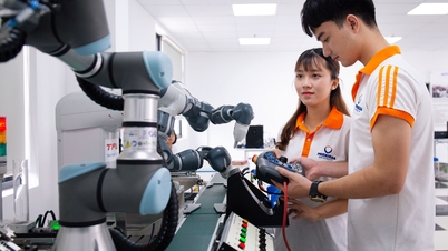 Nhà khoa học trẻ tìm cơ hội với phát triển bền vững