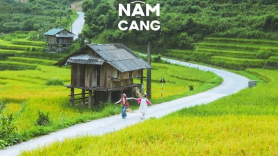 Ghé Sa Pa mùa lúa chín, khách mê mẩn cảnh ruộng bậc thang hoang sơ đẹp như tranh