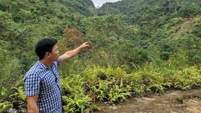 Launching plan to exploit Vietnam's largest rare earth mine
