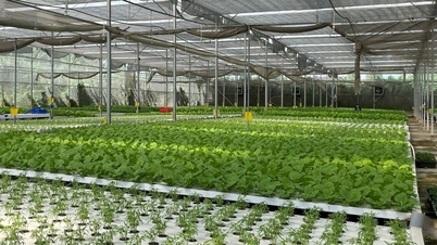 TP HCM có 70% nông nghiệp ứng dụng công nghệ cao đến năm 2030