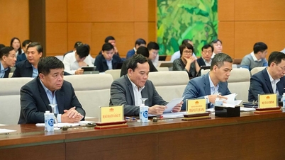 The National Assembly's supervision delegation worked with the Government on many important issues.