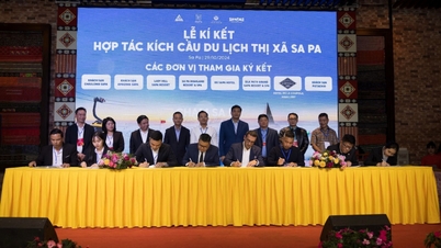 Lào Cai tung gói kích cầu du lịch khủng ưu đãi đến 50%