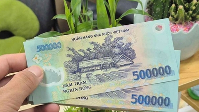 أعلى سعر فائدة في فيتكوم بنك، إيداع 150 مليون واستلام أكثر من 35 مليون