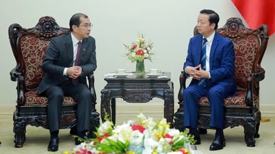 Phó Thủ tướng Trần Hồng Hà tiếp lãnh đạo một số doanh nghiệp năng lượng quốc tế