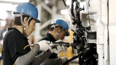 Vietnamese workers leave Japan for Australia to earn billions each year