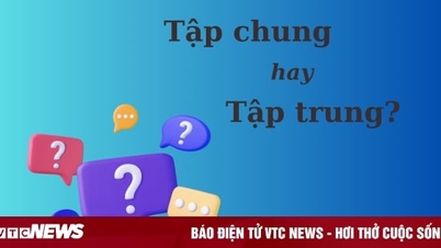 មនុស្សជាច្រើនប្រកែកថា "ផ្តោត" ឬ "ផ្តោតអារម្មណ៍"?