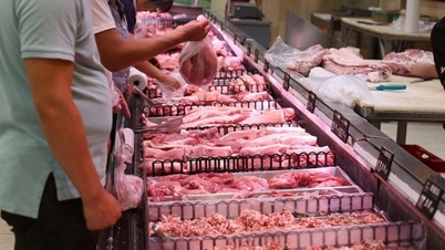 Giá heo hơi xuống mức 48.000 đồng/kg, thị trường Trung Quốc cùng chiều