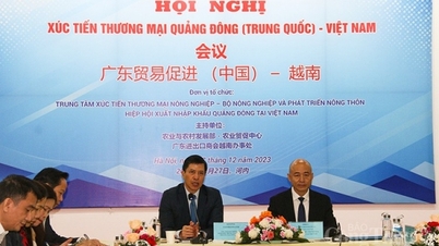 Điểm tên các mặt hàng nông sản Việt chiếm ưu thế khi xuất khẩu sang Quảng Đông (Trung Quốc)