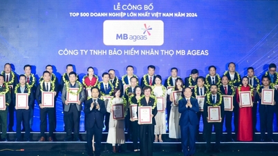 Bảo hiểm Nhân thọ MB Ageas Life vào "Top 500 doanh nghiệp lớn nhất Việt Nam 2024"