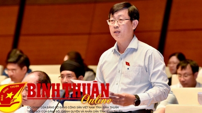 Cân nhắc quy định phù hợp với các giao dịch trực tuyến