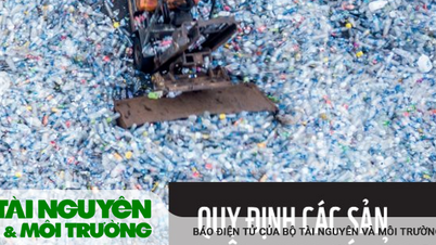 WWF kêu gọi lệnh cấm toàn cầu với một số sản phẩm nhựa dùng 1 lần