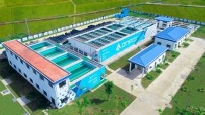 Một cá nhân rời ghế cổ đông lớn của DNP Holding sau khi bán cổ phiếu