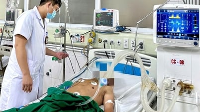 Bác sĩ bối rối tìm nguyên nhân gây uốn ván cho người đàn ông 65 tuổi