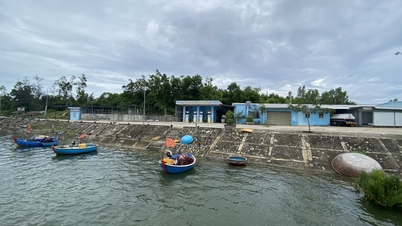 185 billion fishing port has not been effective for 10 years