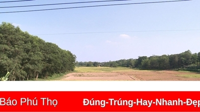 Nguy cơ hạn hán, thiếu nước sản xuất