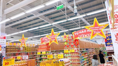 Promote solutions to link production and distribution of goods, forming commodity chains...