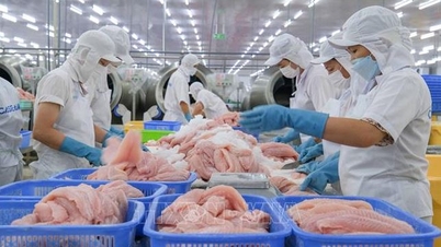 Hoàn thiện thể chế, môi trường đầu tư minh bạch, ‘hút’ vốn FDI