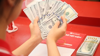 តម្លៃ USD ថ្ងៃនេះ 11/19/2023៖ ពិភពលោកធ្លាក់ចុះ