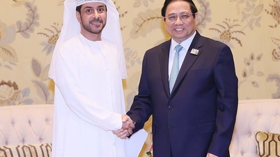 Tập đoàn hơn 250 tỉ USD của UAE muốn đầu tư vào Việt Nam