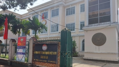 Female accountant of Vietnam Fatherland Front Committee of Gia Lai province was detained for 9 days for investigation