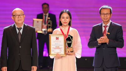 Miraway - Top 10 Best Digital Technology Solution Brands in Vietnam 2024