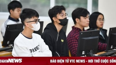 Những chứng chỉ sinh viên đại học nhất định phải có