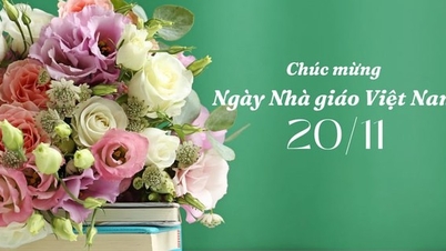 Наилучшие и значимые пожелания учителям на 20 ноября