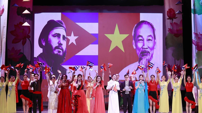 Promoting traditional solidarity and special friendship between Vietnam and Cuba