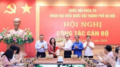 បោះឆ្នោតជ្រើសរើសប្រធានគណៈប្រតិភូរដ្ឋសភាទីក្រុងហាណូយ